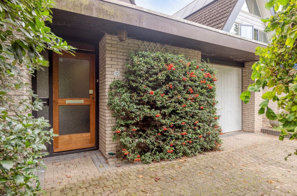 Dennenpad 10