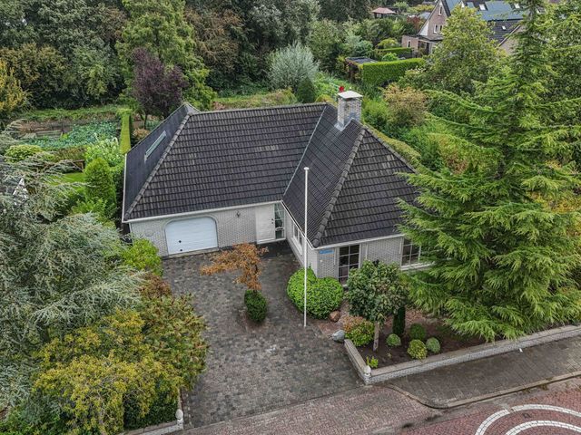 Wespendief 4, Tollebeek