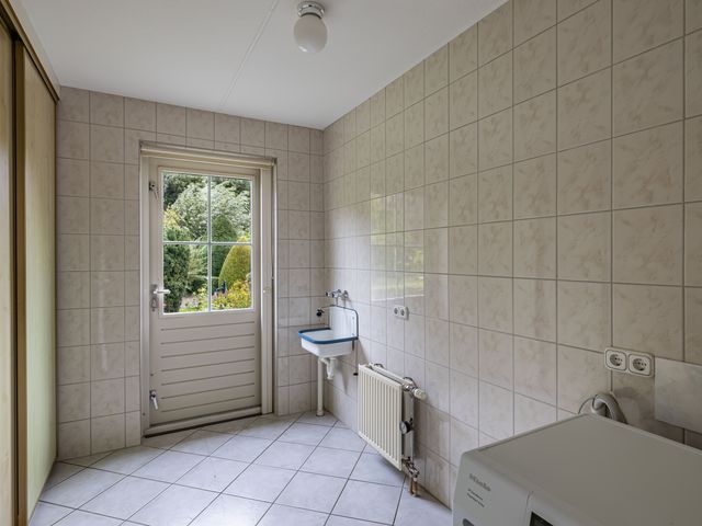 Wespendief 4, Tollebeek