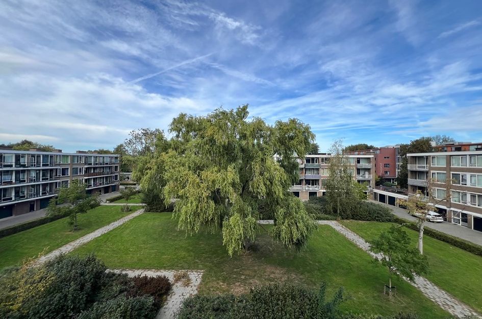 Fichtestraat 158