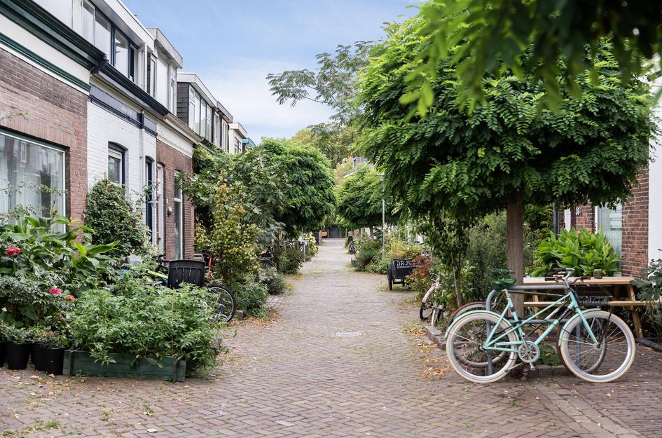 Anthonie Camerlingstraat 35