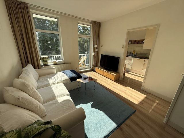 Tweede Jan Steenstraat 32 2, Amsterdam