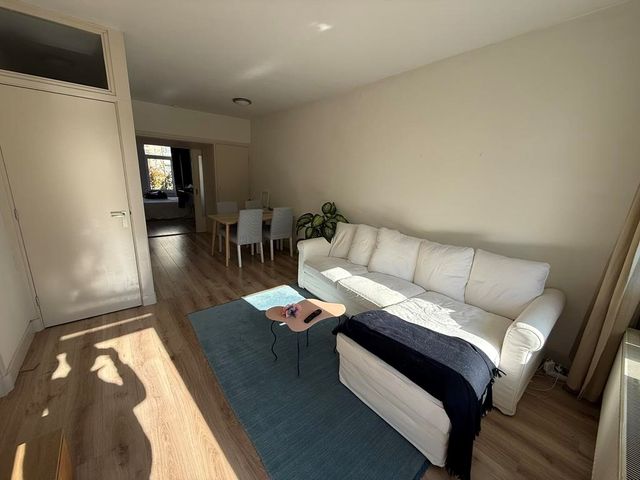 Tweede Jan Steenstraat 32 2, Amsterdam