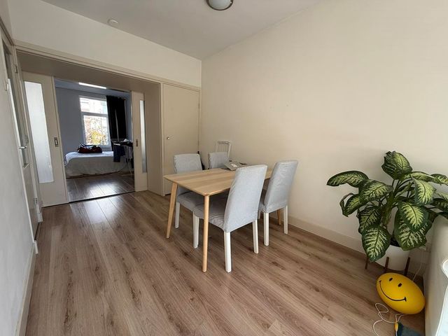 Tweede Jan Steenstraat 32 2, Amsterdam