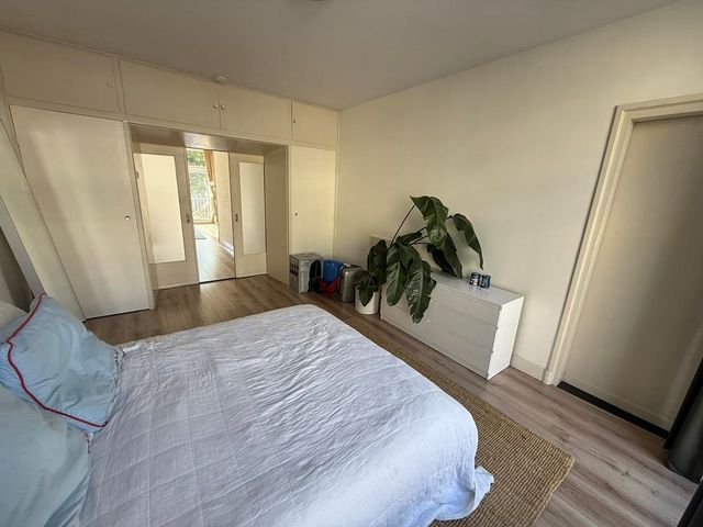 Tweede Jan Steenstraat 32 2, Amsterdam