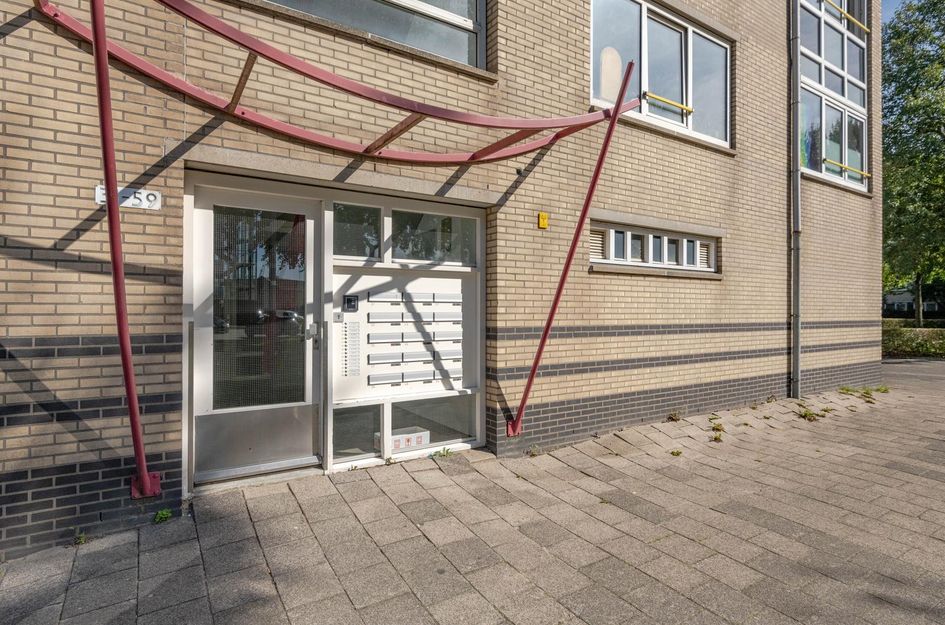 Sint-Janshaven 53