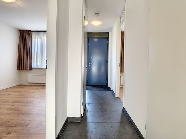 De Smeedtoren 24, Sluis