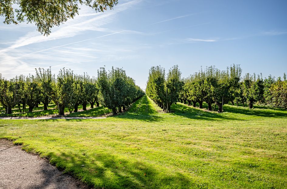 Steenwijkerweg 8 1