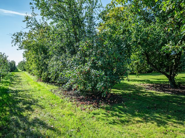 Steenwijkerweg 8 1, Marknesse