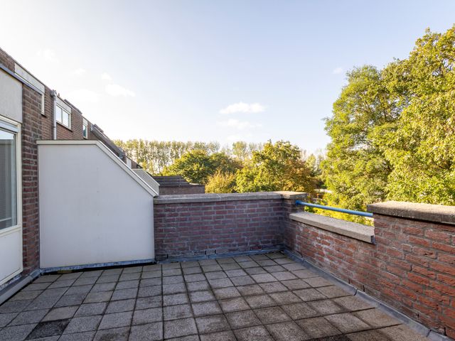 Torp 17, Den Helder
