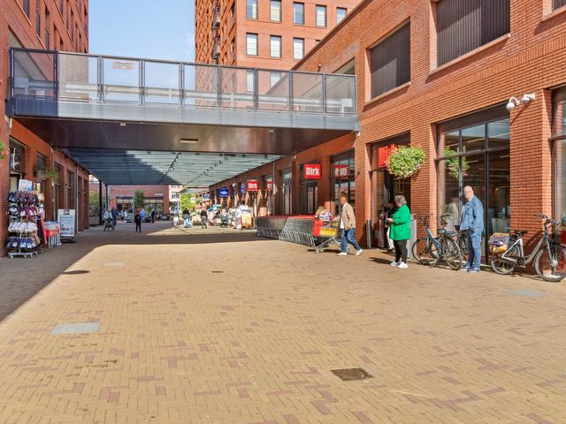 Simon Carmiggelthof 248, Den Haag