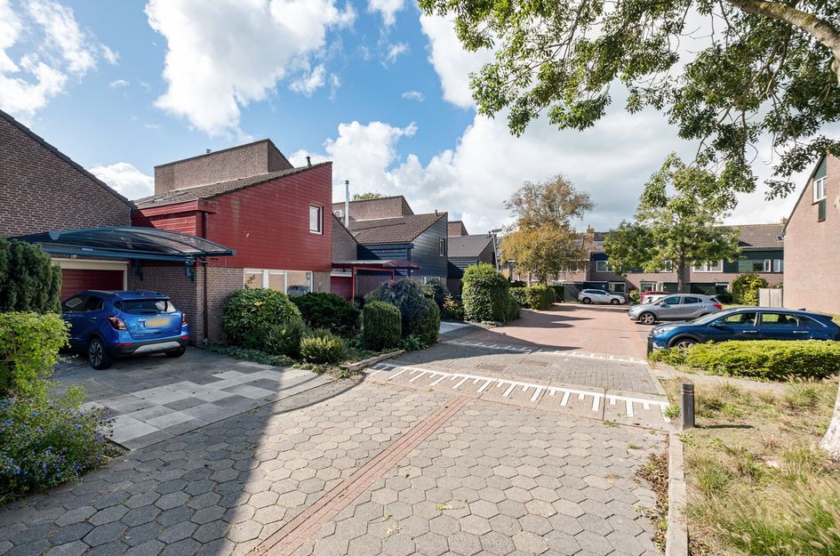 Lameroen 46