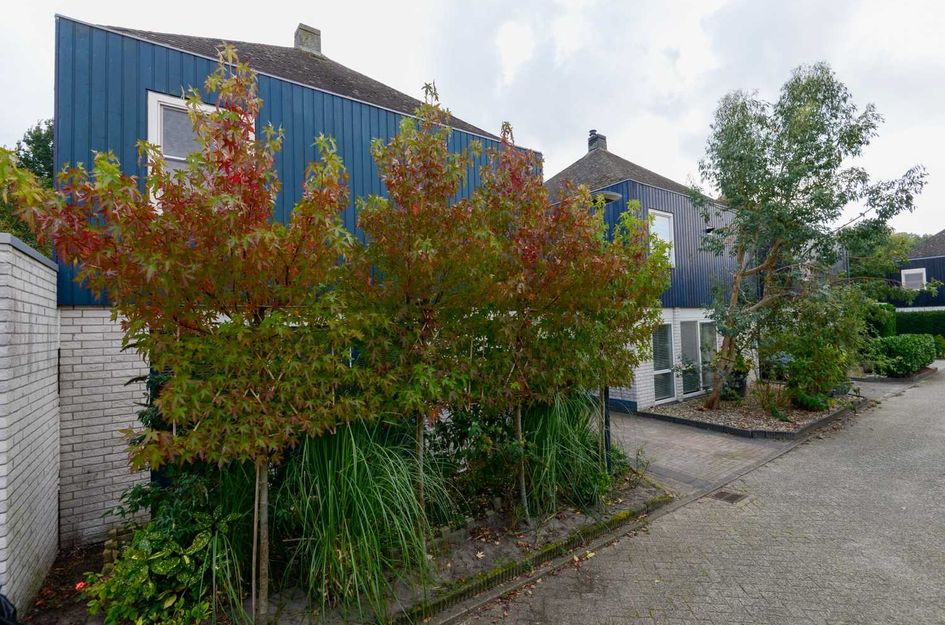 Voergang 51