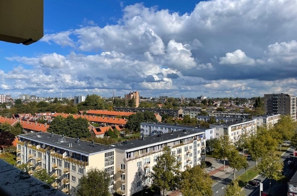 Vijf Meilaan 178