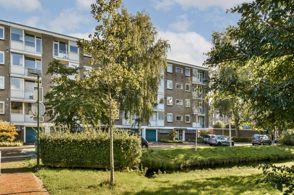 Van Leeuwenstraat 46