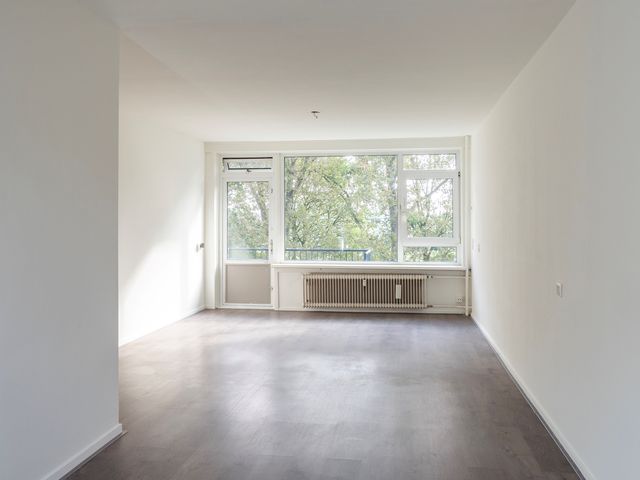 Berkenlaan 205, Zutphen
