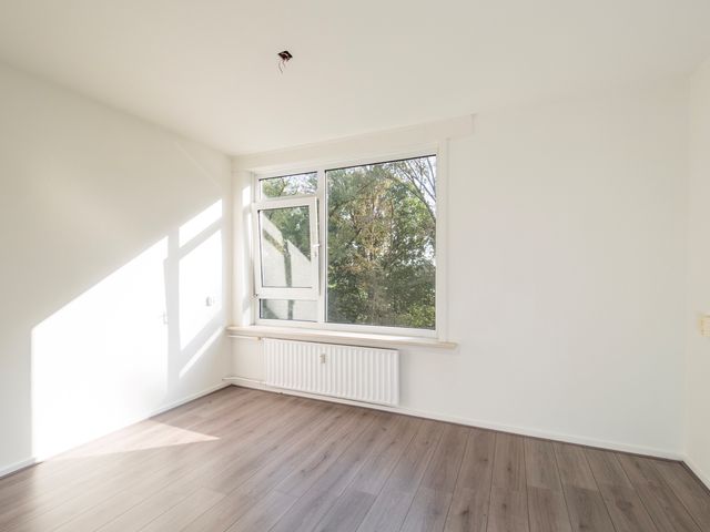 Berkenlaan 205, Zutphen