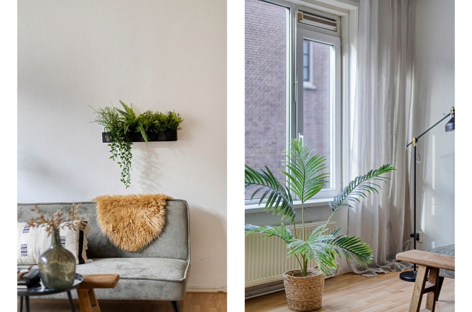Torenstraat 19A