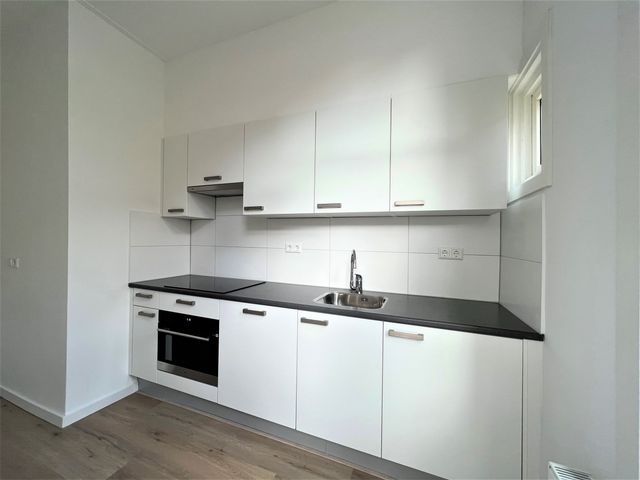 Fahrenheitstraat 45, 's-Gravenhage