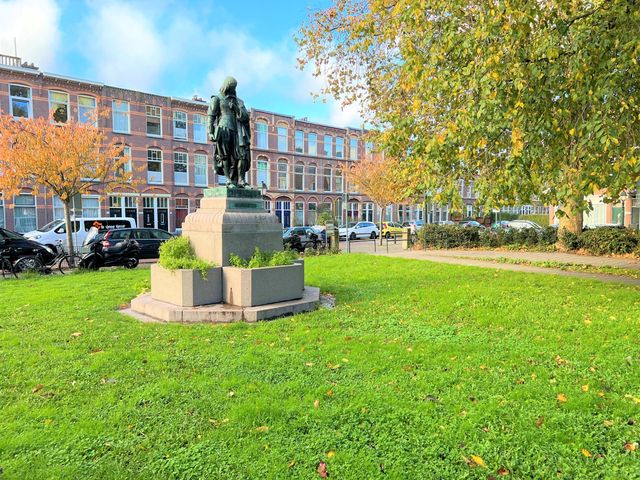 Fahrenheitstraat 45, 's-Gravenhage
