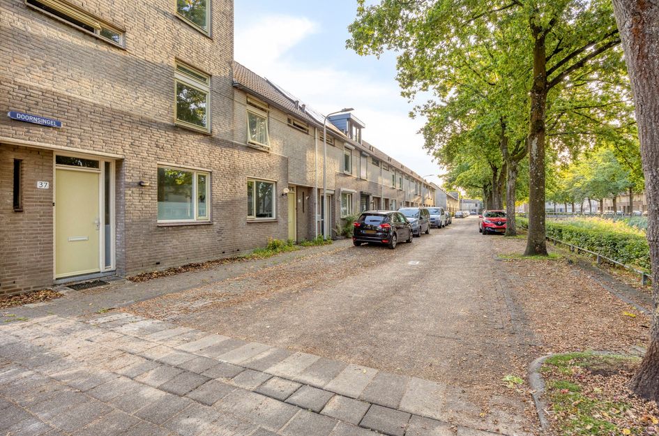 Doornsingel 37