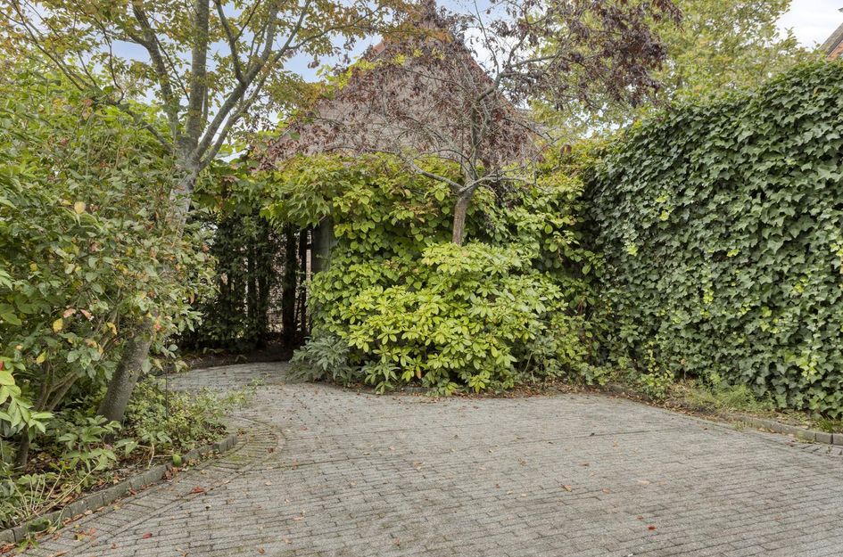 Wilhelminastraat 31