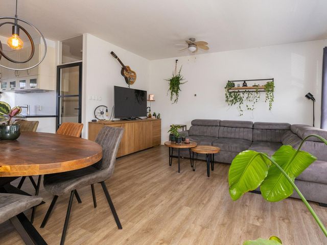 Poolster 24, Hoorn