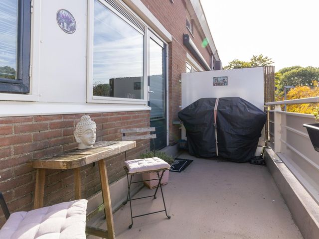 Poolster 24, Hoorn