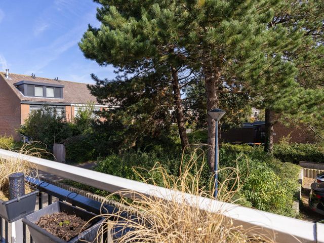 Poolster 24, Hoorn