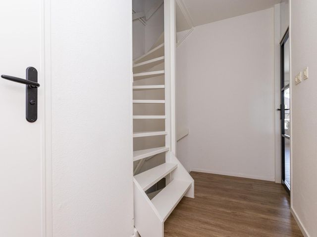 Poolster 24, Hoorn