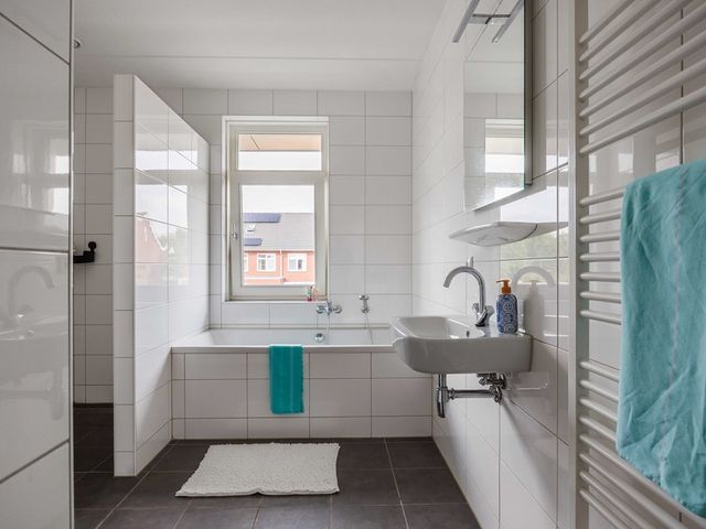 Bostulp 24, Leek