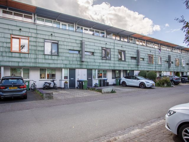 Grasplant 36, Eindhoven