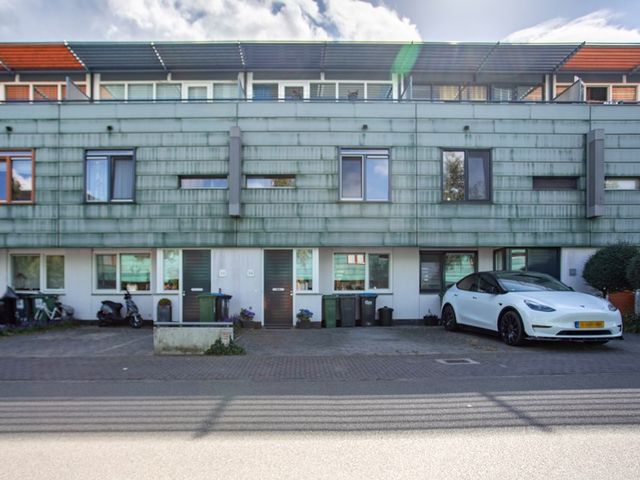 Grasplant 36, Eindhoven