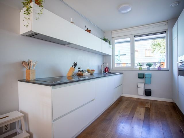 Grasplant 36, Eindhoven