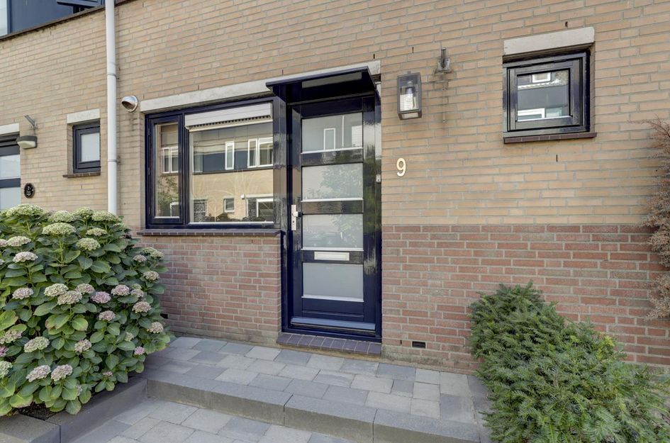 Zilvermeeuw 9