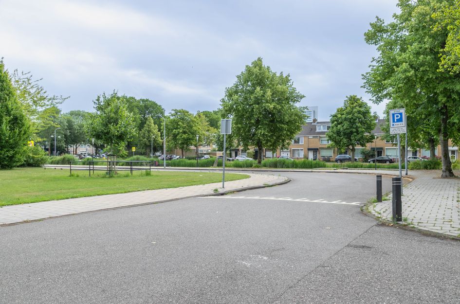 Graan voor Visch 16235
