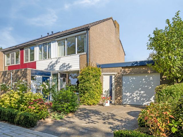 Omloop 11, Dinteloord