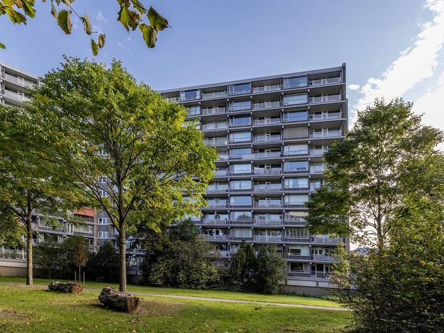 Griegplein 195, Schiedam