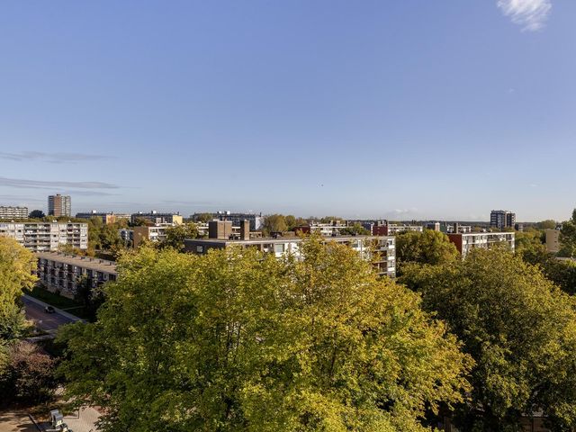 Griegplein 195, Schiedam