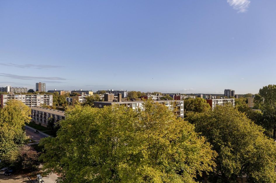 Griegplein 195