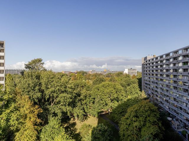 Griegplein 195, Schiedam