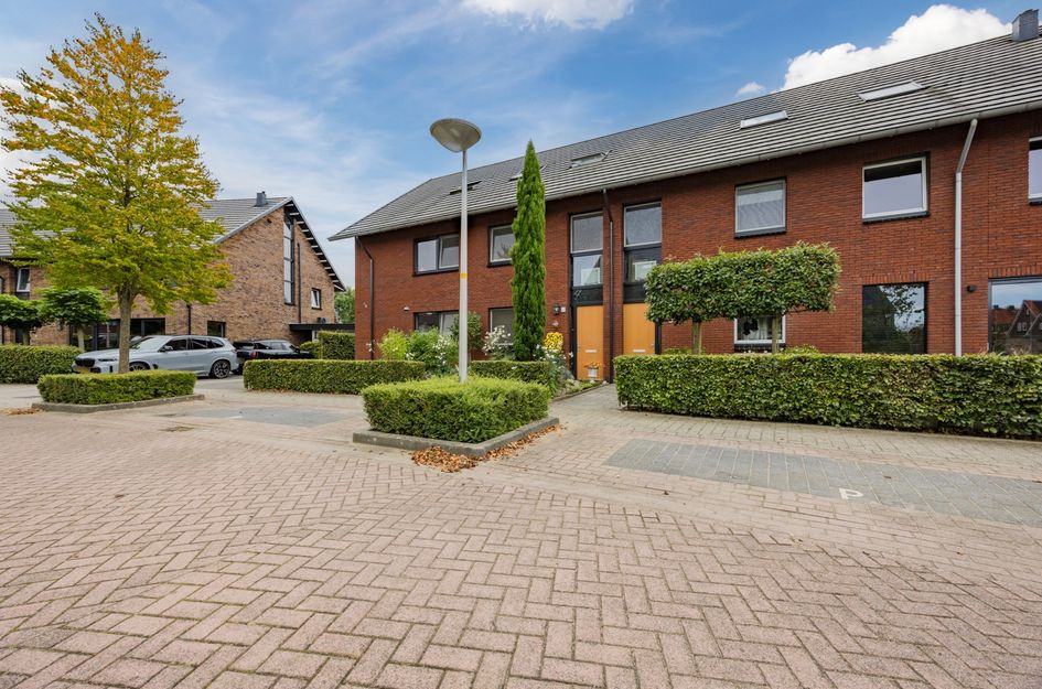 Witte Emille 8
