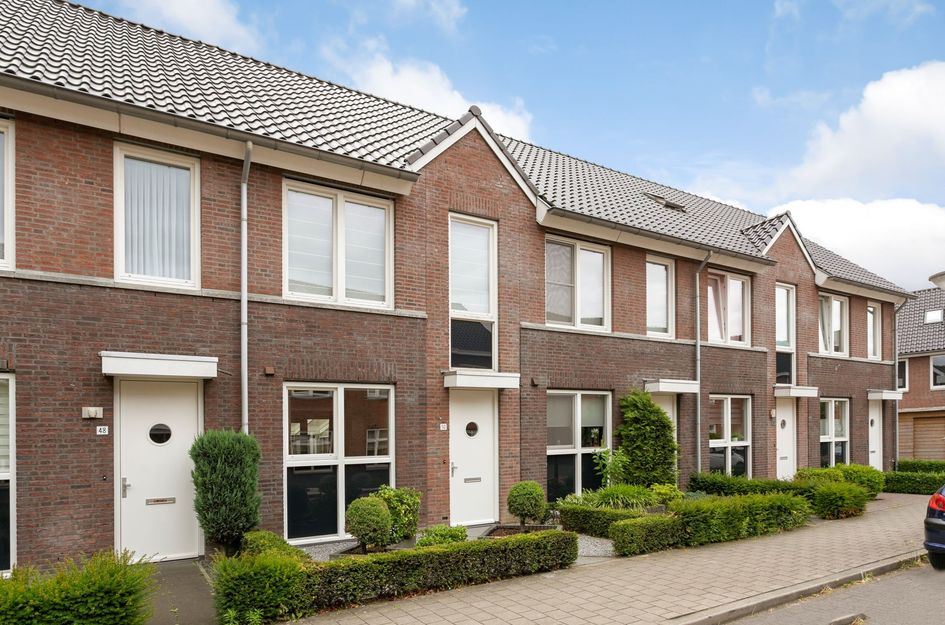 Beukenbos 50