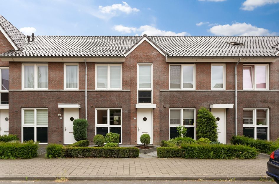 Beukenbos 50