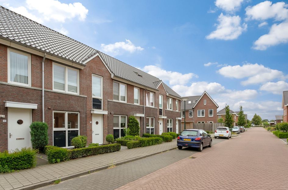 Beukenbos 50