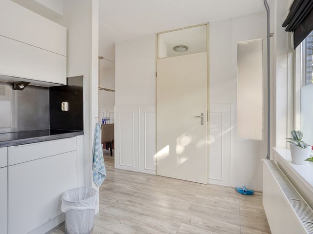 Pauwoog 19, Zeewolde