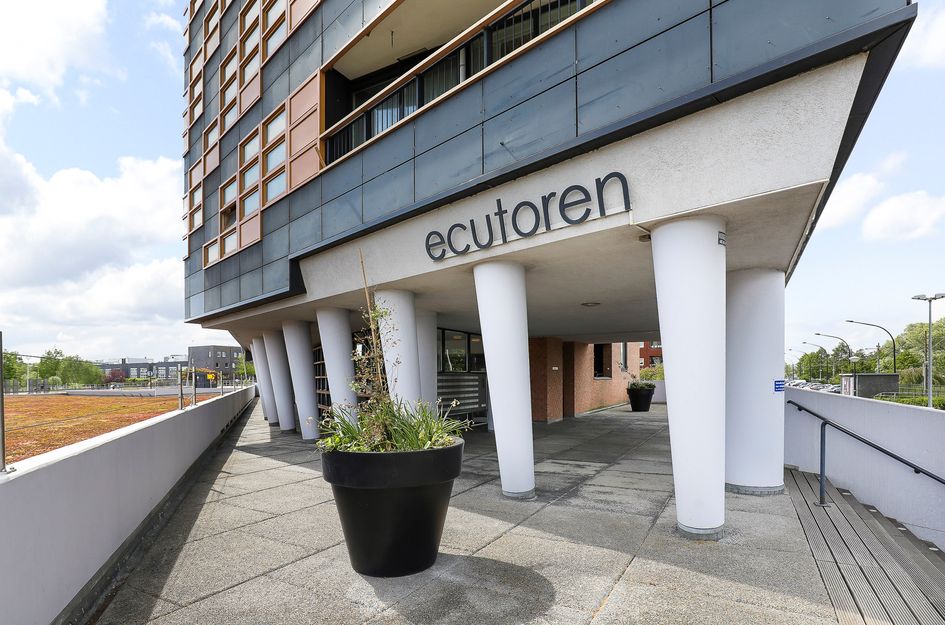 Ecuplein 49