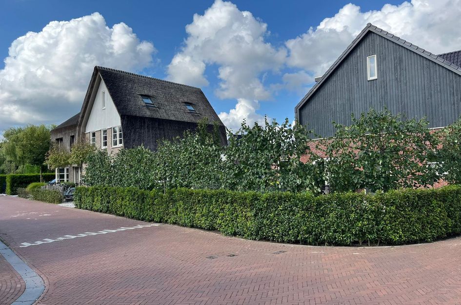 Zuiderzeedreef 17