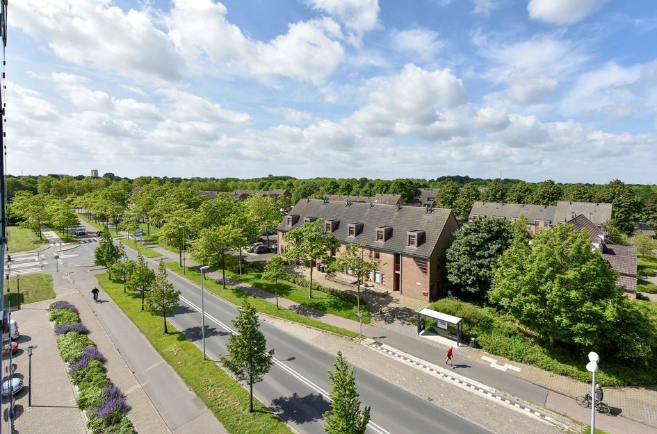 Sleutelbloem 23