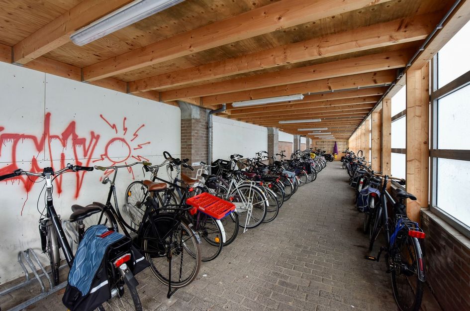 Sleutelbloem 23